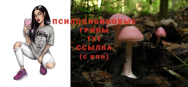 спиды Арсеньев